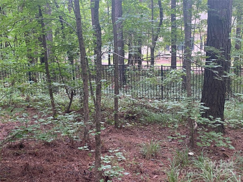 Property image 2 at 6359 Chimney Bluff Road, Lancaster, SC 29720