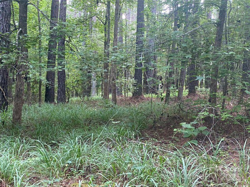 Property image 3 at 6359 Chimney Bluff Road, Lancaster, SC 29720
