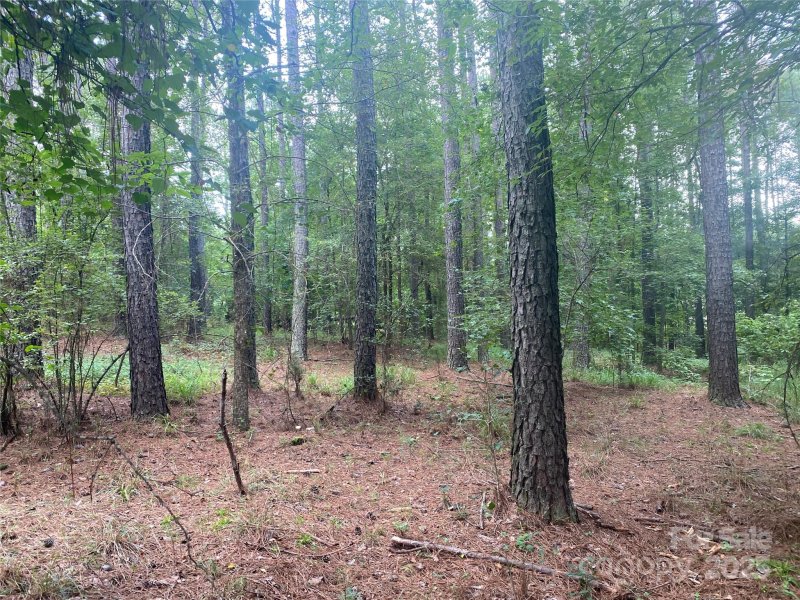 Property image 4 at 6359 Chimney Bluff Road, Lancaster, SC 29720