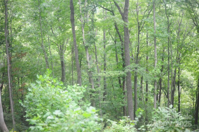 Property image 3 of 9 Wood Haven Lane in Laurel Ridge, Black Mountain, NC 28711