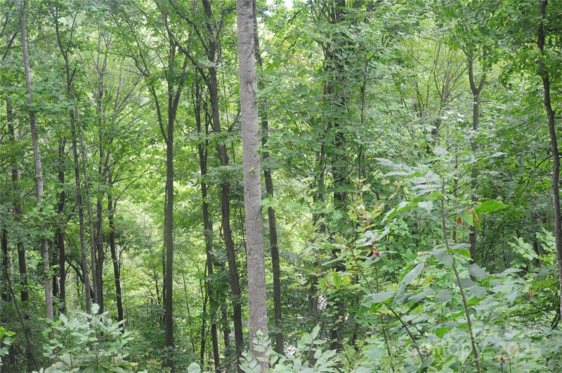 Property image 4 of 9 Wood Haven Lane in Laurel Ridge, Black Mountain, NC 28711