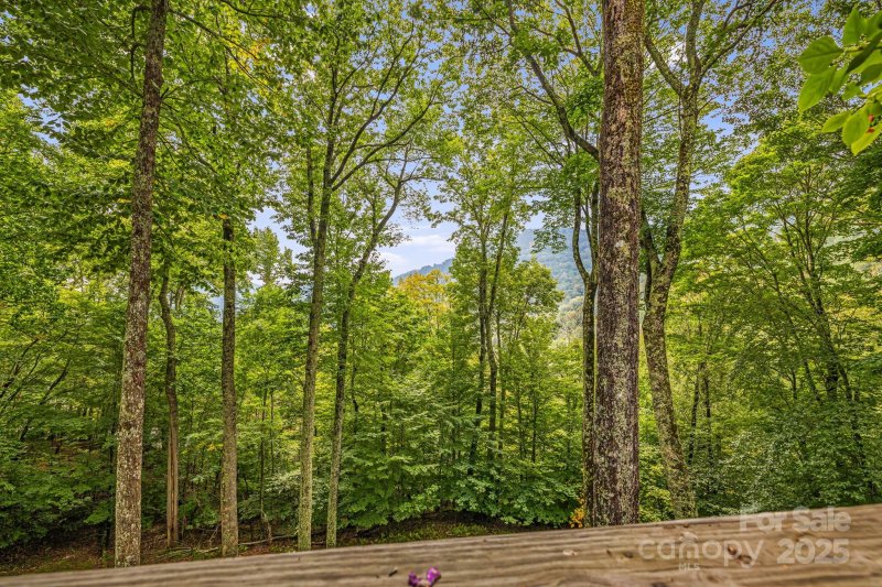 Property image 4 of 215 Goldenleaf Road in Wolf Laurel, Mars Hill, NC 28754