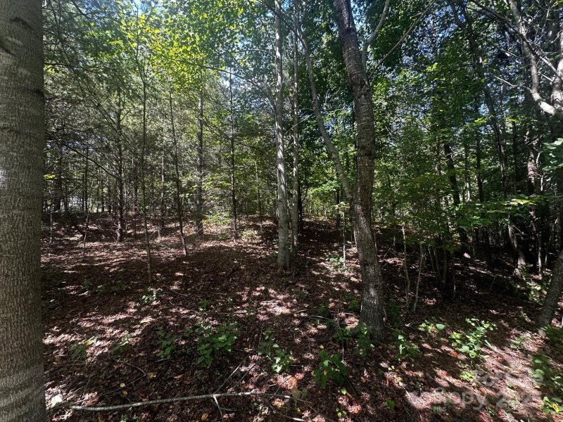 Property image 4 of 0000 Lake Haven Drive in Twelve Mile Post, Lake Lure, NC 28746