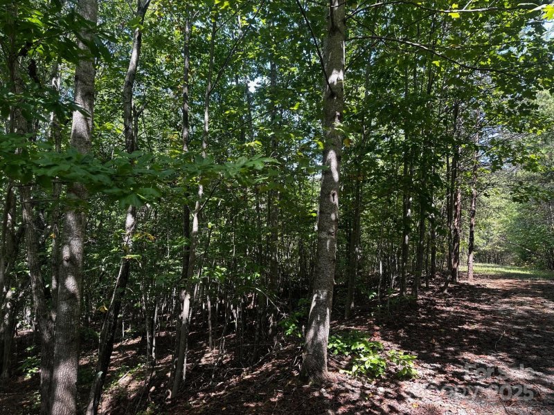 Property image 5 of 0000 Lake Haven Drive in Twelve Mile Post, Lake Lure, NC 28746