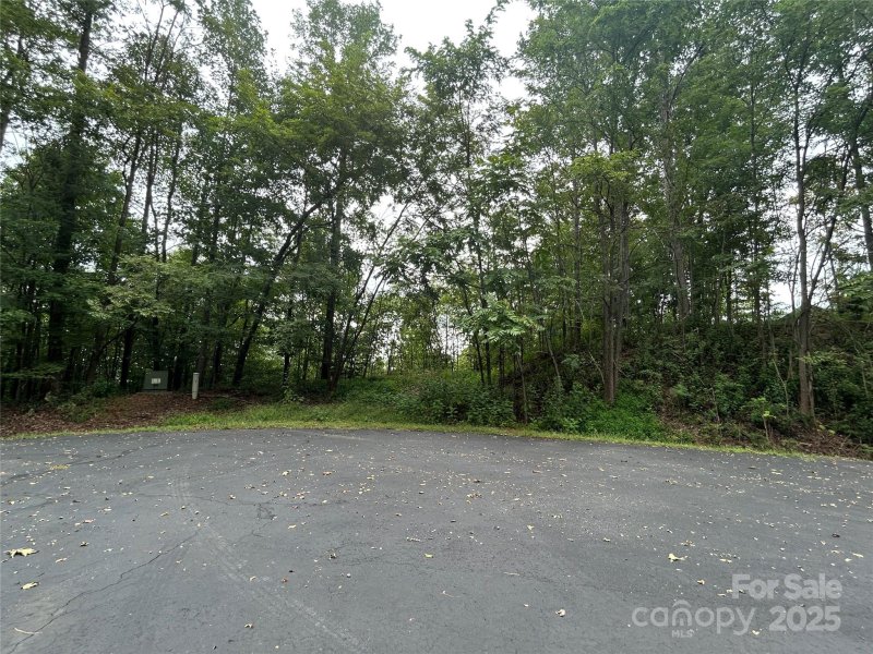 Property image 2 of 168 Robinwood Trail in South Mountain Peaks, Bostic, NC 28018