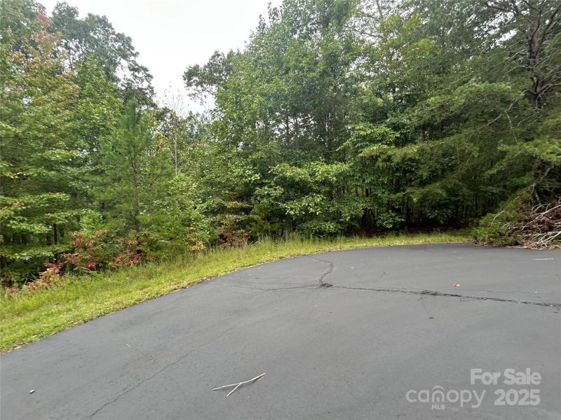Property image 3 of 168 Robinwood Trail in South Mountain Peaks, Bostic, NC 28018