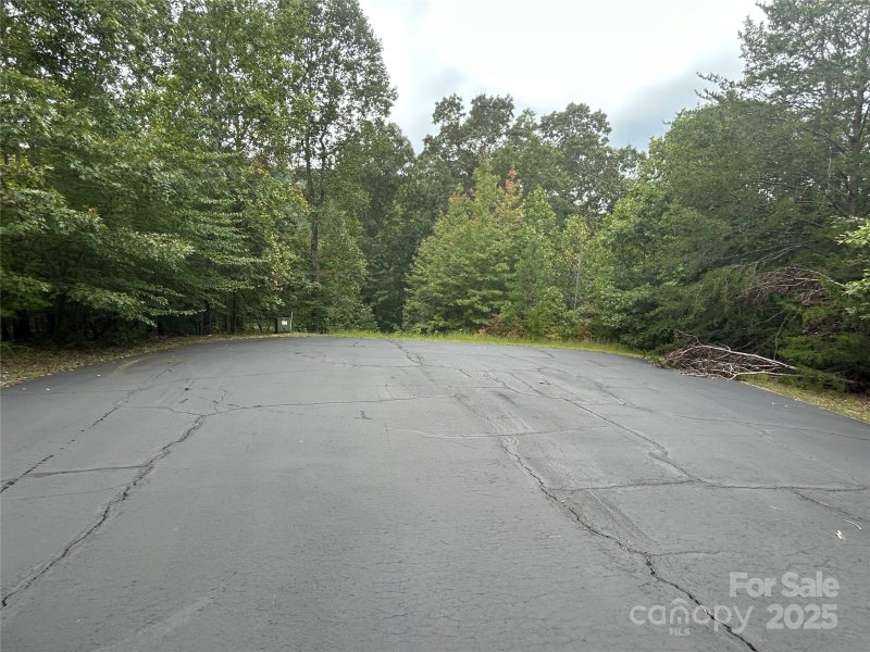 Property image 4 of 168 Robinwood Trail in South Mountain Peaks, Bostic, NC 28018