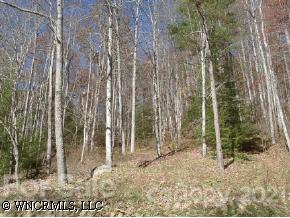 Property image 2 at 128 Red Sky Ridge, Mars Hill, NC 28754