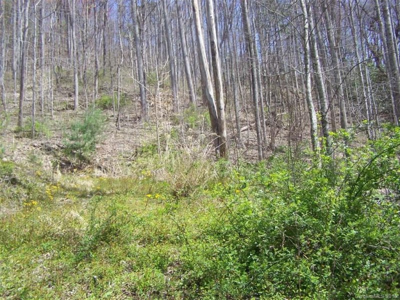 Property image 5 at 127 Red Sky Ridge Ridge, Mars Hill, NC 28754