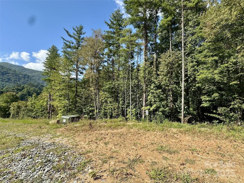 Property image 3 of 10 Freshwater Cove in Masters Landing, Maggie Valley, NC 28751