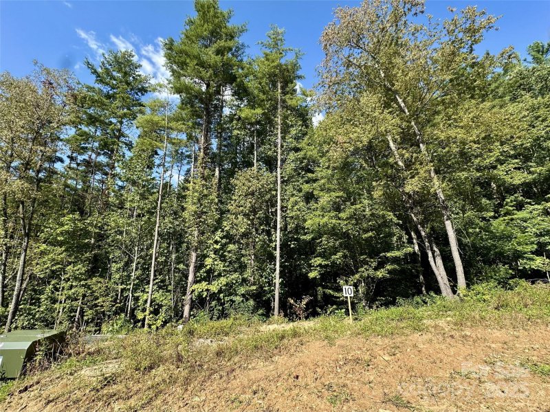 Property image 4 of 10 Freshwater Cove in Masters Landing, Maggie Valley, NC 28751