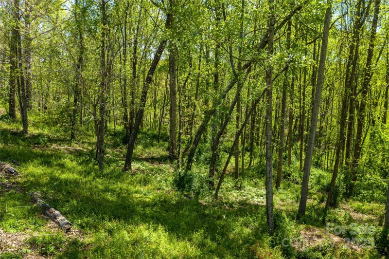 Property image 2 of 9999 Bee Balm Way in Olivette, Asheville, NC 28804