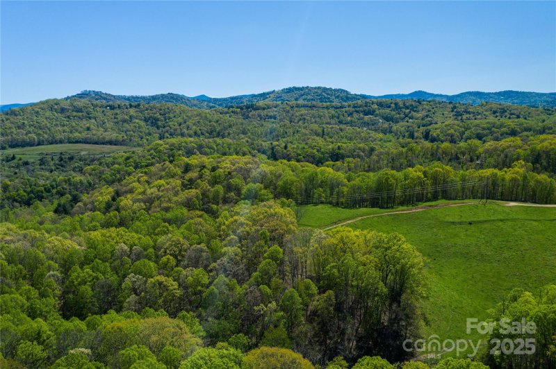 Property image 5 of 9999 Bee Balm Way in Olivette, Asheville, NC 28804