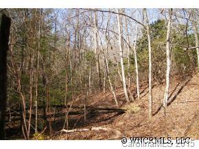 Property image 2 at L 1 Steel Creek Road, Brevard, NC 28712
