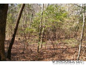 Property image 3 at L 1 Steel Creek Road, Brevard, NC 28712