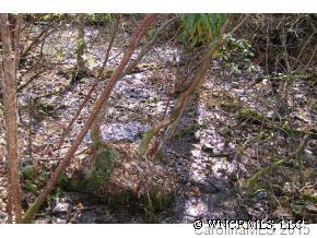 Property image 4 at L 1 Steel Creek Road, Brevard, NC 28712