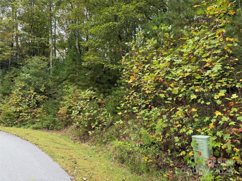 Property image 2 of Tdb Fern Cove Lane in Lobdell Woods, Pisgah Forest, NC 28768