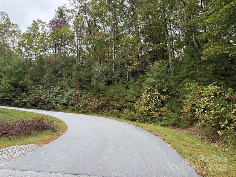 Property image 3 of Tdb Fern Cove Lane in Lobdell Woods, Pisgah Forest, NC 28768
