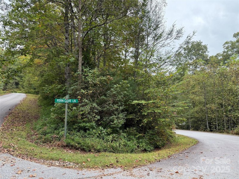 Property image 4 of Tdb Fern Cove Lane in Lobdell Woods, Pisgah Forest, NC 28768