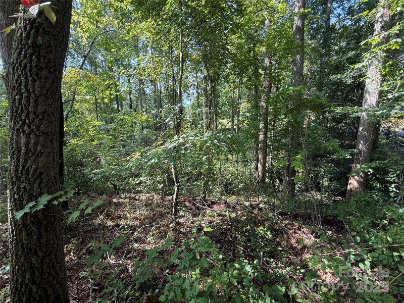 Property image 5 of 256 Burge Mountain Road in Beechwood Lakes, Hendersonville, NC 28792