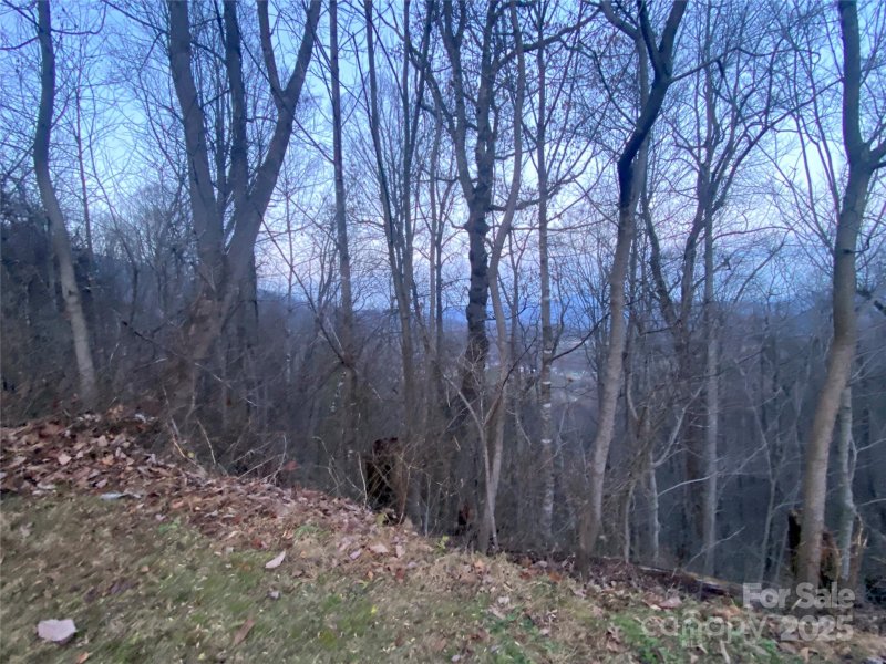 Property image 3 of 0 Asa Trail in Cobblers Knob, Waynesville, NC 28785