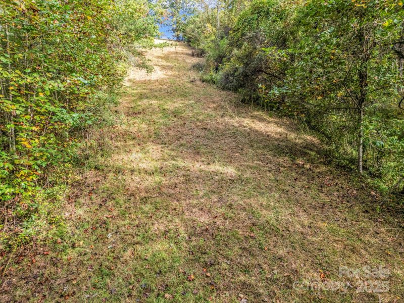 Property image 2 of 19 Woodchuck Cove Way in Firefly Ridge Estates, Alexander, NC 28701