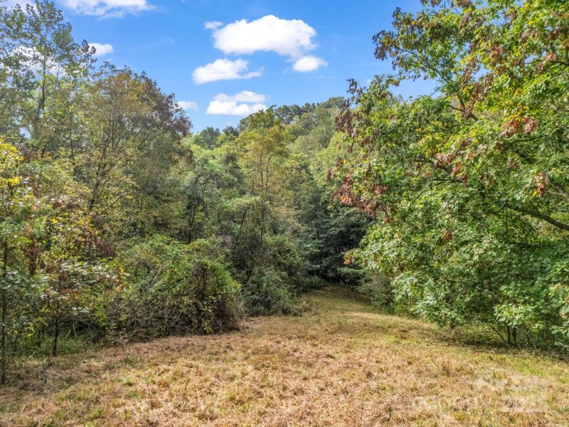 Property image 3 of 19 Woodchuck Cove Way in Firefly Ridge Estates, Alexander, NC 28701