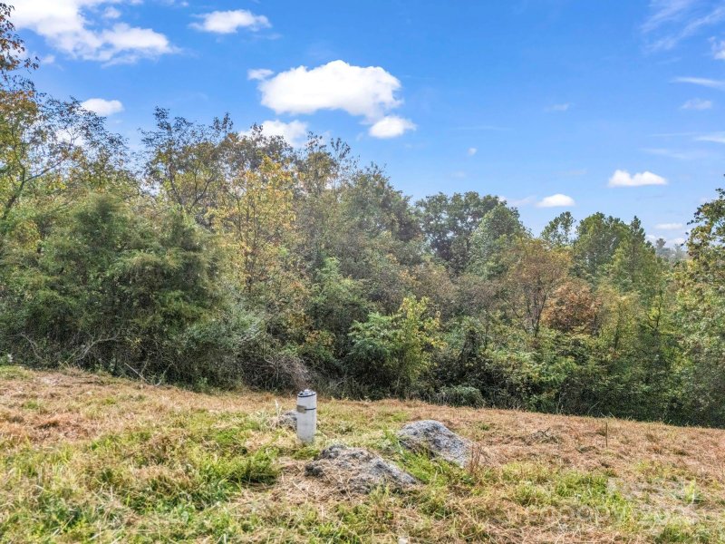 Property image 5 of 19 Woodchuck Cove Way in Firefly Ridge Estates, Alexander, NC 28701