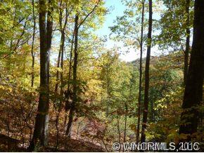 Property image 2 at 55 Buck Dr, Hot Springs, NC 28743