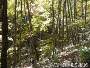 Property image 3 at 55 Buck Dr, Hot Springs, NC 28743