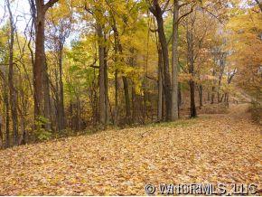 Property image 5 at 55 Buck Dr, Hot Springs, NC 28743