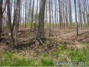 Property image 2 at Lot 3 Harleys Cove, Waynesville, NC 28785