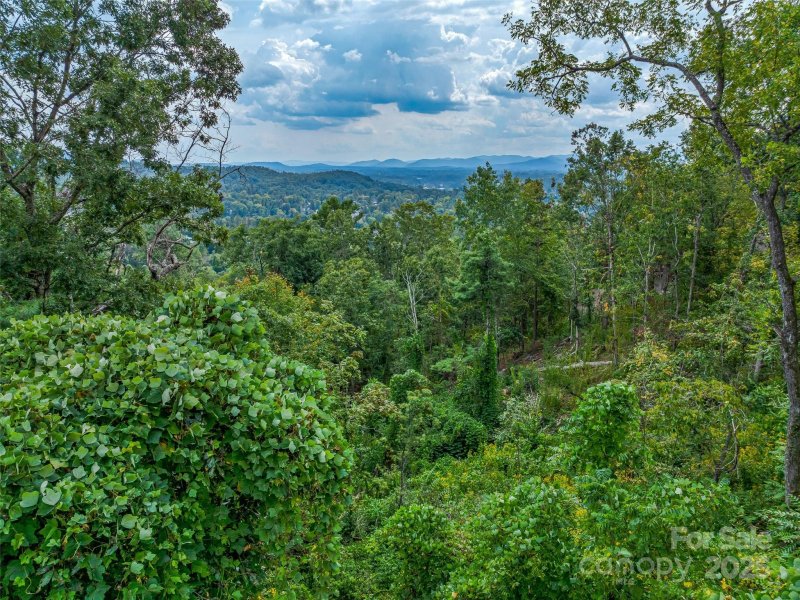 Property image 2 of 147 Senator Reynolds Road in Reynolds Mountain, Asheville, NC 28804