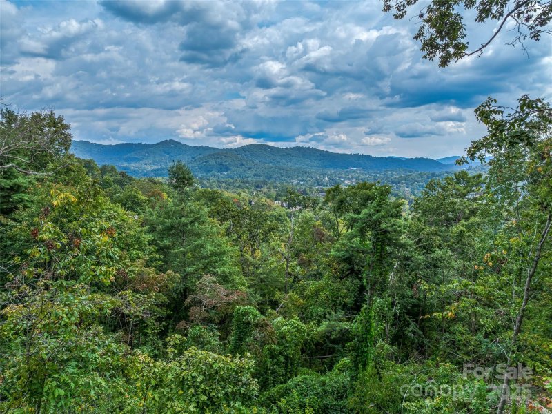Property image 3 of 147 Senator Reynolds Road in Reynolds Mountain, Asheville, NC 28804