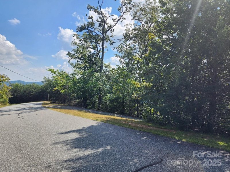 Property image 2 of 38 Arbra Mountain Way in Yellowtop Mountain Estates, Bostic, NC 28018