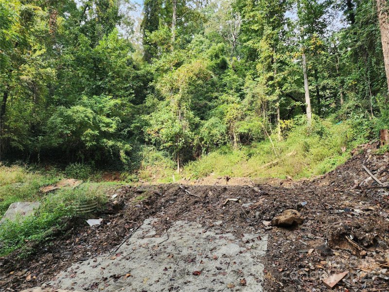 Property image 2 of 9999 Azalea Court in Mount Royal, Arden, NC 28704