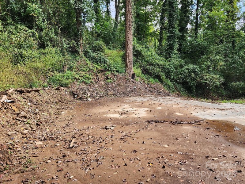 Property image 5 of 9999 Azalea Court in Mount Royal, Arden, NC 28704