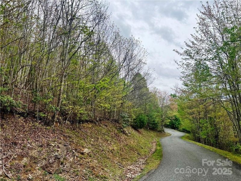 Property image 4 of Lot 24 Lake View Drive in Headwaters at Banner Elk, Elk Park, NC 28622