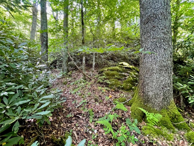 Property image 5 of 125 Stoneledge Lane in Firethorn, Blowing Rock, NC 28605