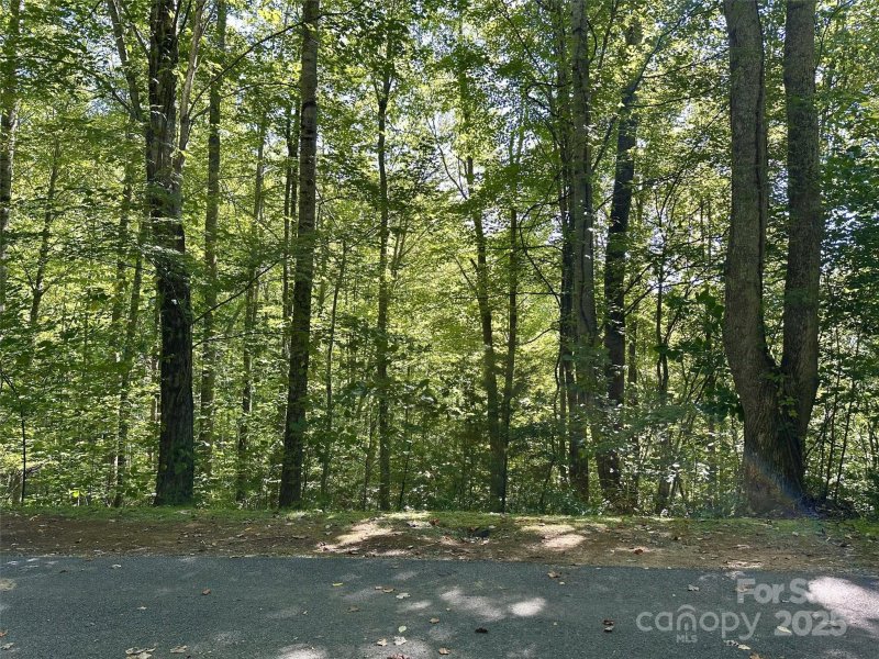 Property image 2 of 00 Loblolly Way in Scarlet Oaks, Maggie Valley, NC 28751