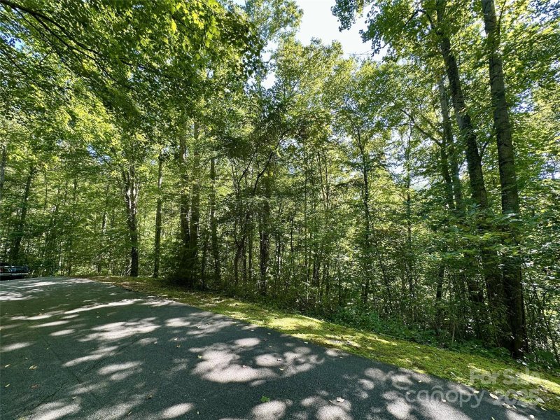 Property image 4 of 00 Loblolly Way in Scarlet Oaks, Maggie Valley, NC 28751