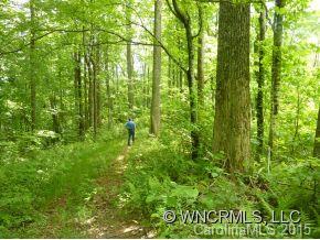 Property image 3 at 000 Off Running Bear Road, Hot Springs, NC 28743