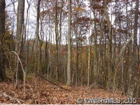 Property image 4 at 000 Off Running Bear Road, Hot Springs, NC 28743
