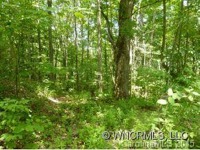 Property image 5 at 000 Off Running Bear Road, Hot Springs, NC 28743