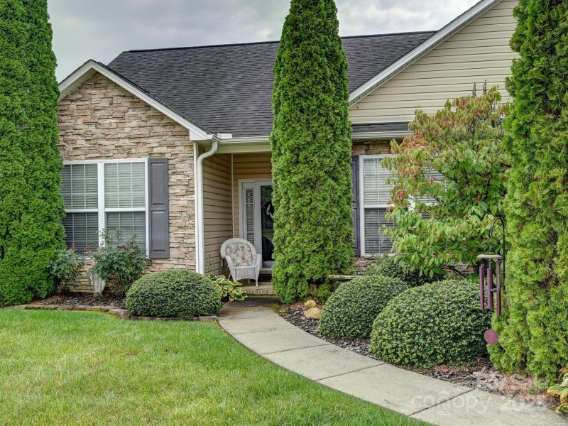 Property image 3 of 19 Pamlico Road in River Stone, Fletcher, NC 28732