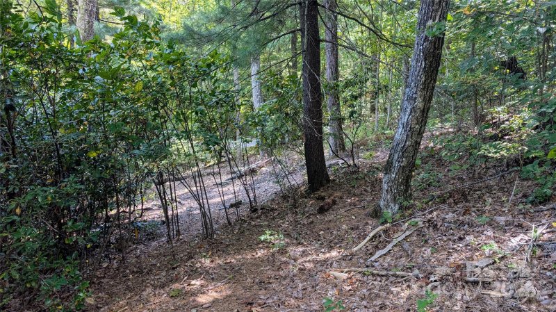 Property image 2 of 101 Scenic Drive in Kenmure, Flat Rock, NC 28731