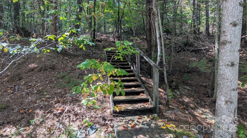 Property image 3 of 101 Scenic Drive in Kenmure, Flat Rock, NC 28731