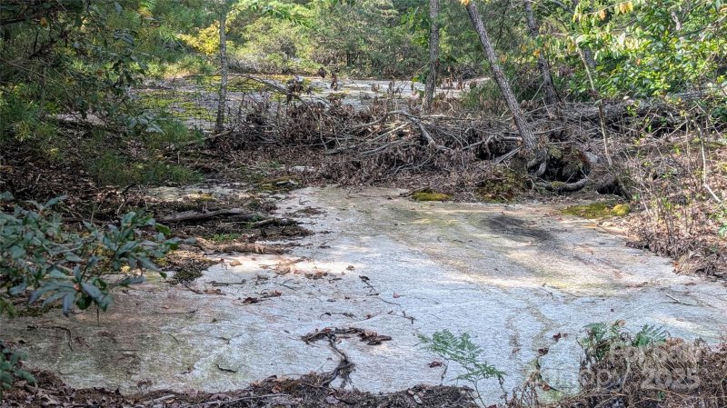 Property image 4 of 101 Scenic Drive in Kenmure, Flat Rock, NC 28731