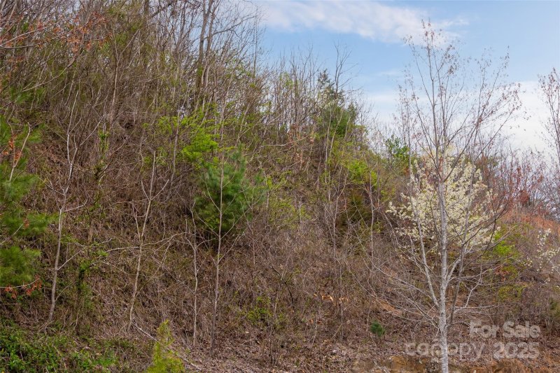 Property image 2 of 12 Grovepoint Way in Grove Park Cove, Asheville, NC 28804