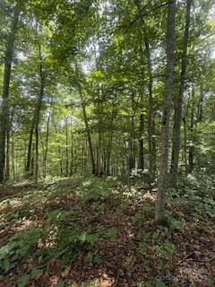 Property image 4 of 22 Signature Row Boulevard in Avalon, Waynesville, NC 28785